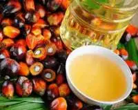Palm Oil