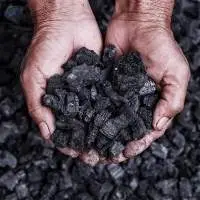 Steam Coal