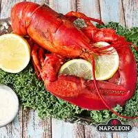 Lobster