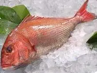 Surimi Fish