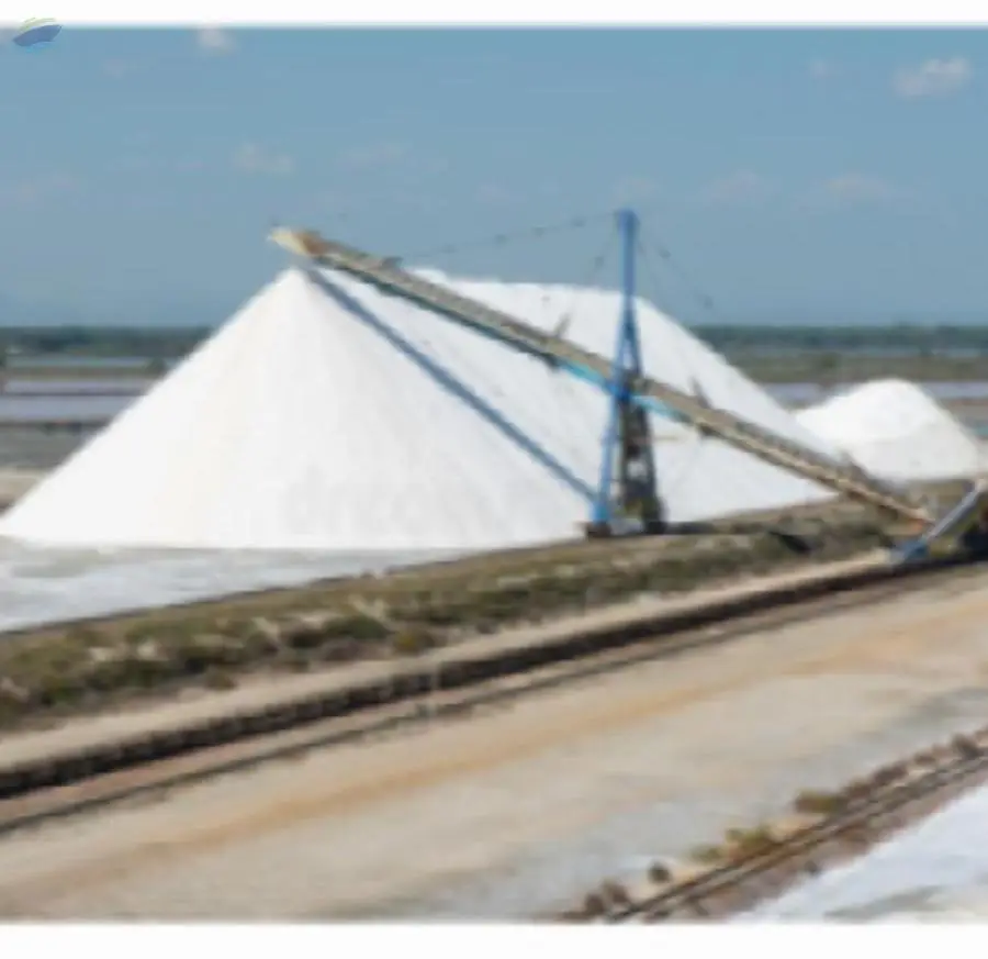 Industrial Salt