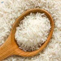 IRRI-6 Rice