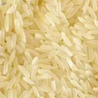 IRRI-9 Rice