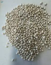 Navy Beans
