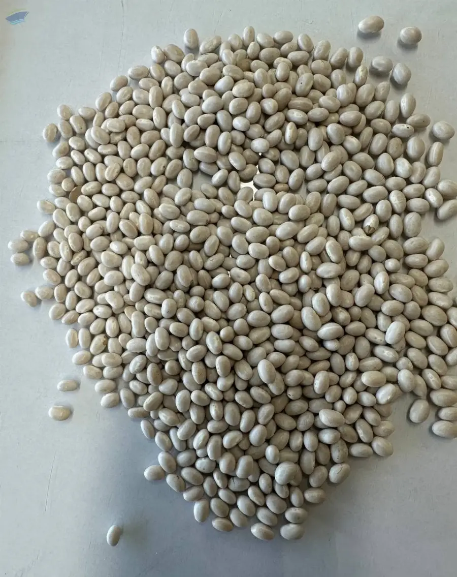 Navy Beans