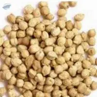 Chickpea