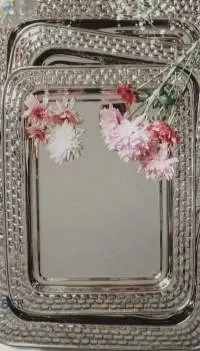 Trays