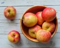 Apple Gala