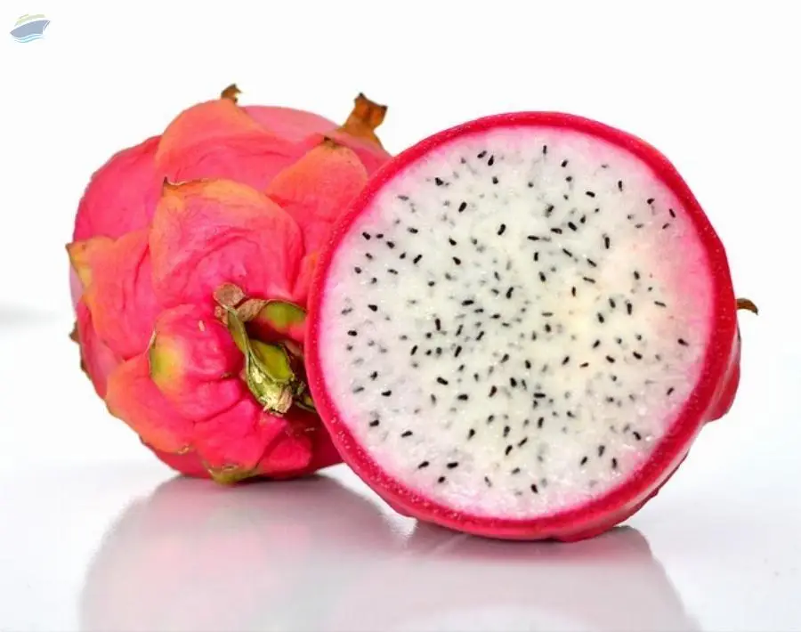 Dragon Fruit Red