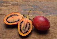 Tree Tomato