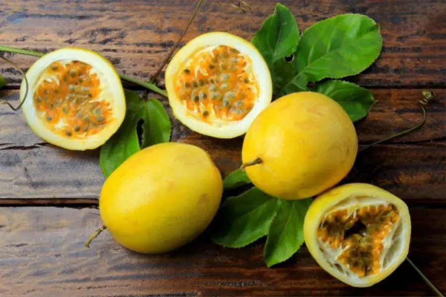 Passion Fruit