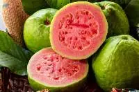 Guava