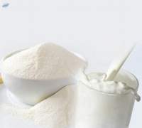 Milk Powder