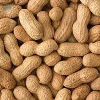 Peanut