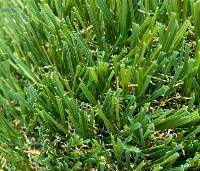 Artificial Turf