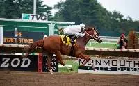 Horse Track Sand