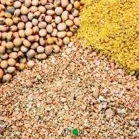 Cattle Feed