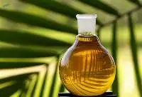 Palm Oil