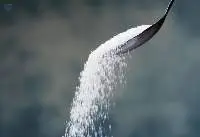 Sugar