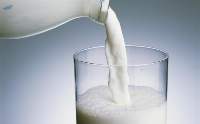 Milk Powder