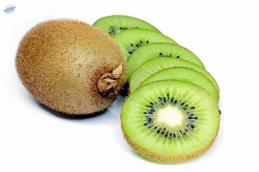 Fruit
