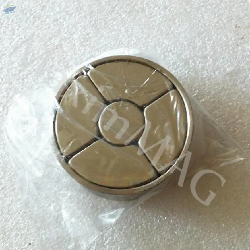 Halbach Array Neodymium Magnetic Detacher