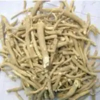 Ashwagandha Powder