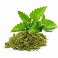 Tulsi Powder