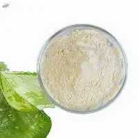 Aloe Vera Extract