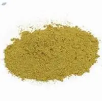 Berberis Aristata Extract