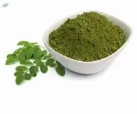 Moringa Leaf Extract