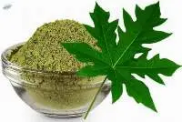 Papaya Leaf Extract