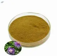 Passiflora Incarnata Extract