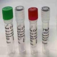 Q PCR Testing Kit (Non cold chain transport)