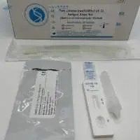 Covid-19 Antigen Rapid Test