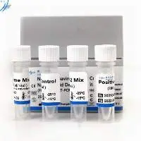 Real Time RT-PCR Detection Kit