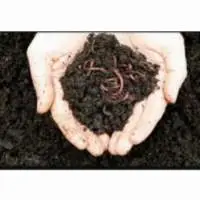 Vermicompost