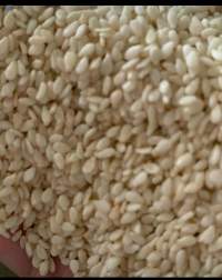 Hulled Sesame Seeds
