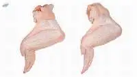 Frozen Chicken 3 Joint Wings