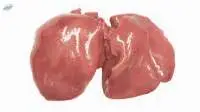 Frozen Chicken Livers