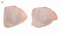 Frozen Chicken Thigh