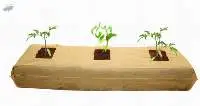 Grow Bag 100 X 20 X 15 cm Non-woven Bag