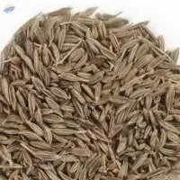 Cumin