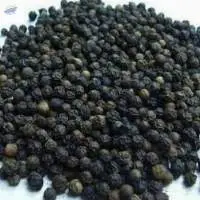 Black Pepper