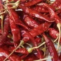 Red Chilli