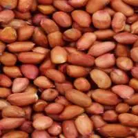 Peanuts