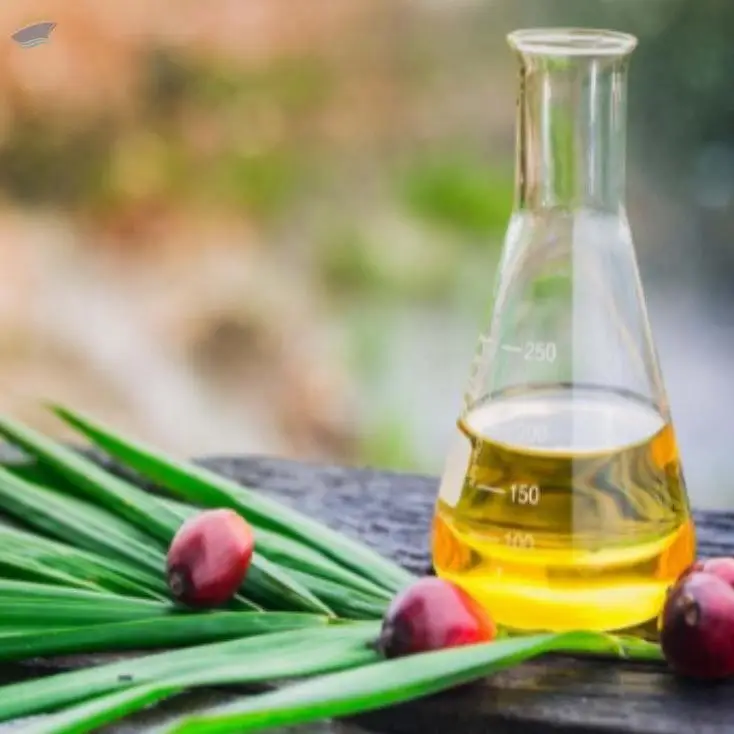 Palm Oil