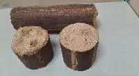 Eucalyptus Briquettes Wood