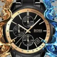 Hugo Boss Watch