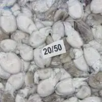 Frozen Baby Cuttlefish